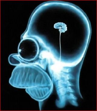 [Homer+Simpson's+Brain.bmp]