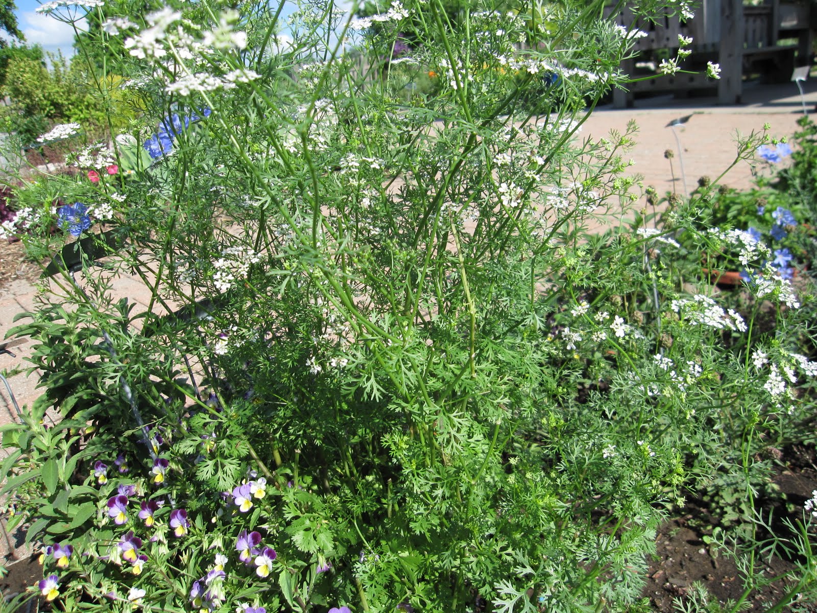 Get HPV Test After LEEP or Cone