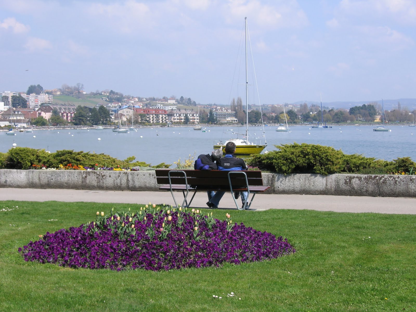 Sagittarian Dreams More From Morges