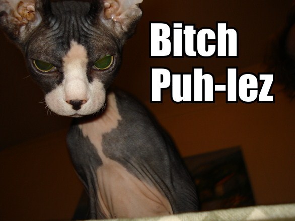 [bitchpuh-lez.jpg]