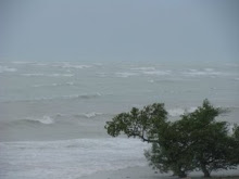 whitecaps from Ike