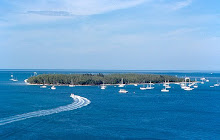 wysteria island.