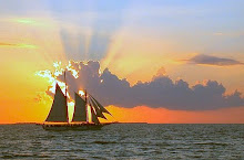 dreams of sailing.