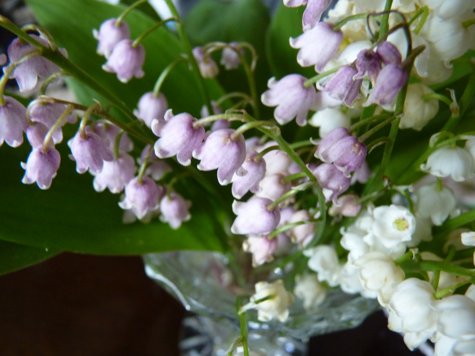ACTIVE IDEE: muguet rose