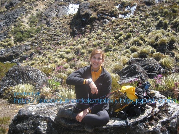 [n539157708_469246_4906.jpg]