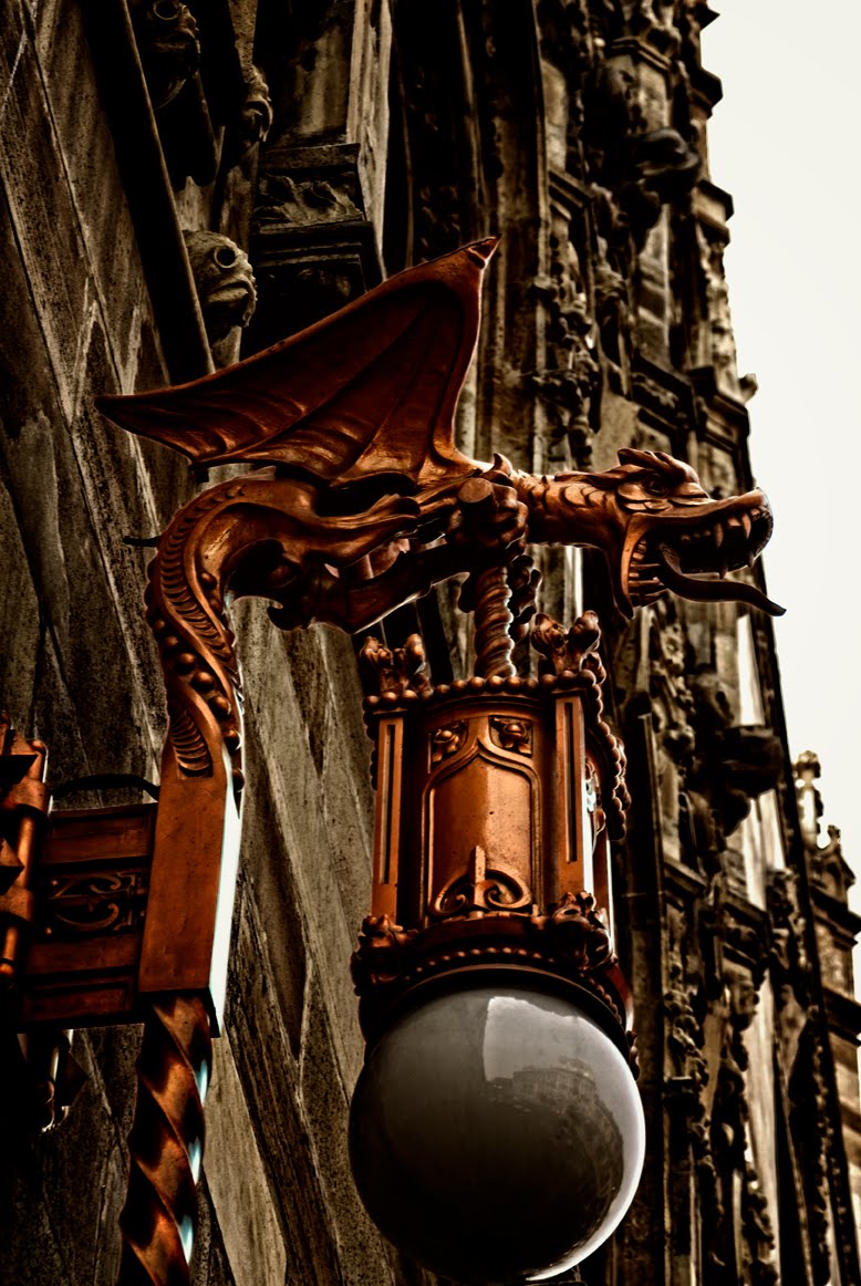bearded-dragon-lamp