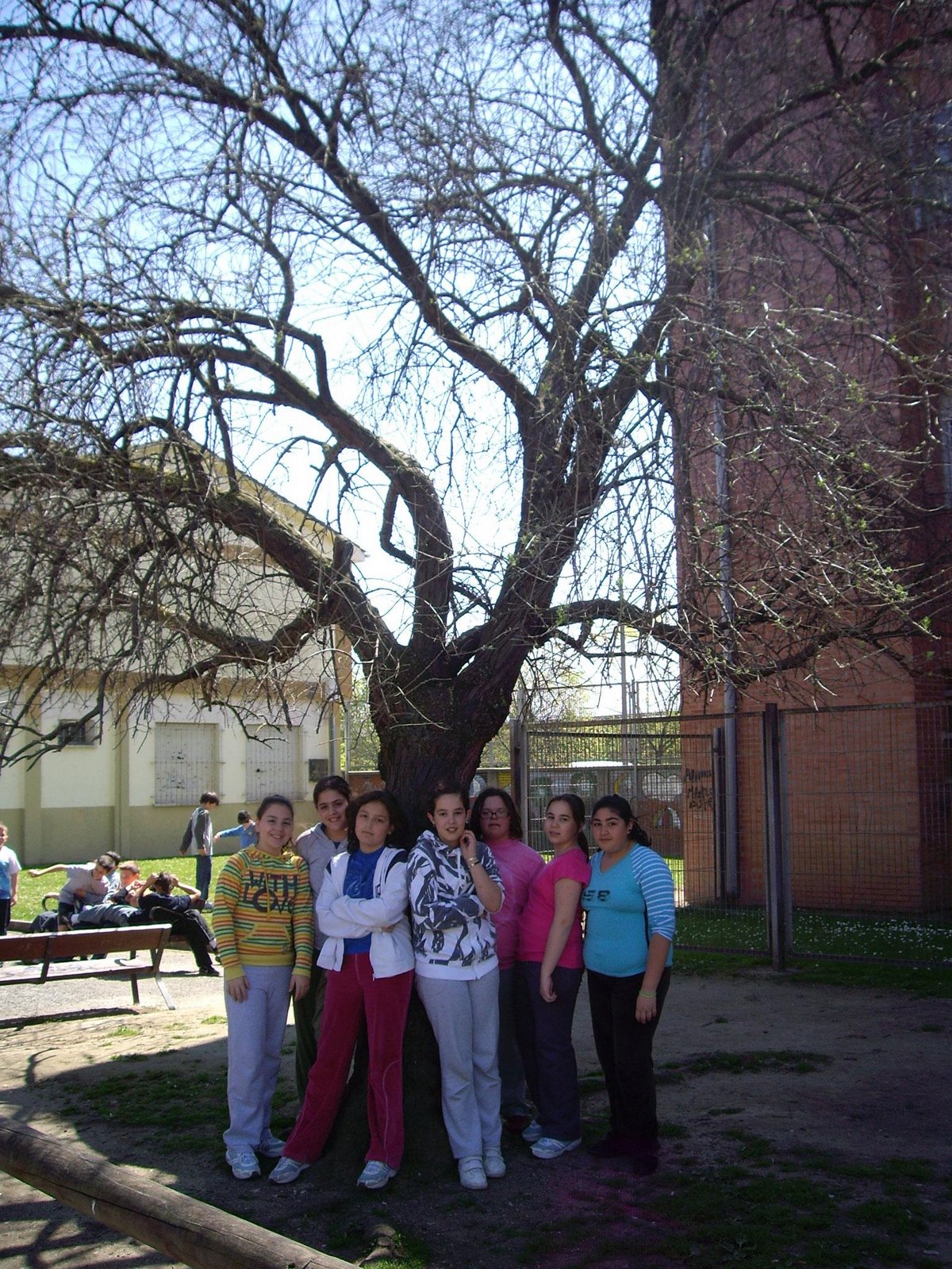 [IMGP3313.JPG]