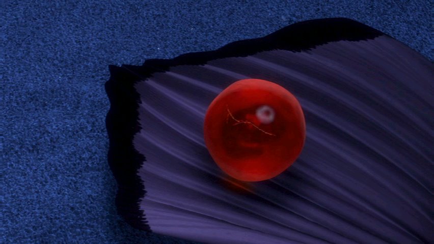 [cap125.bmp]