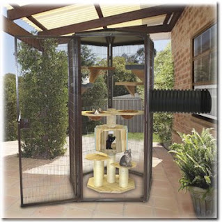 Cat Aviary Life in The Catbox - www.catbox.la: Outdoor Cat Enclosures