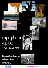affiche expo apic 12 13 avril 2008