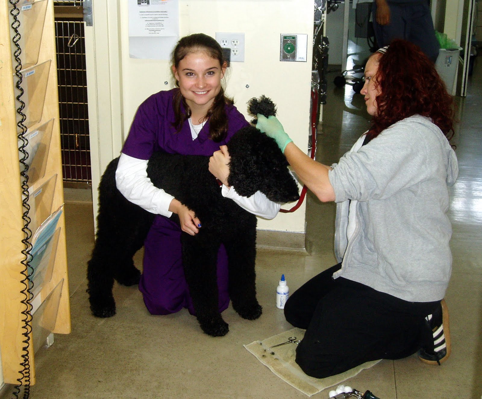 Career Explorations Summer Internships For High School Students CE