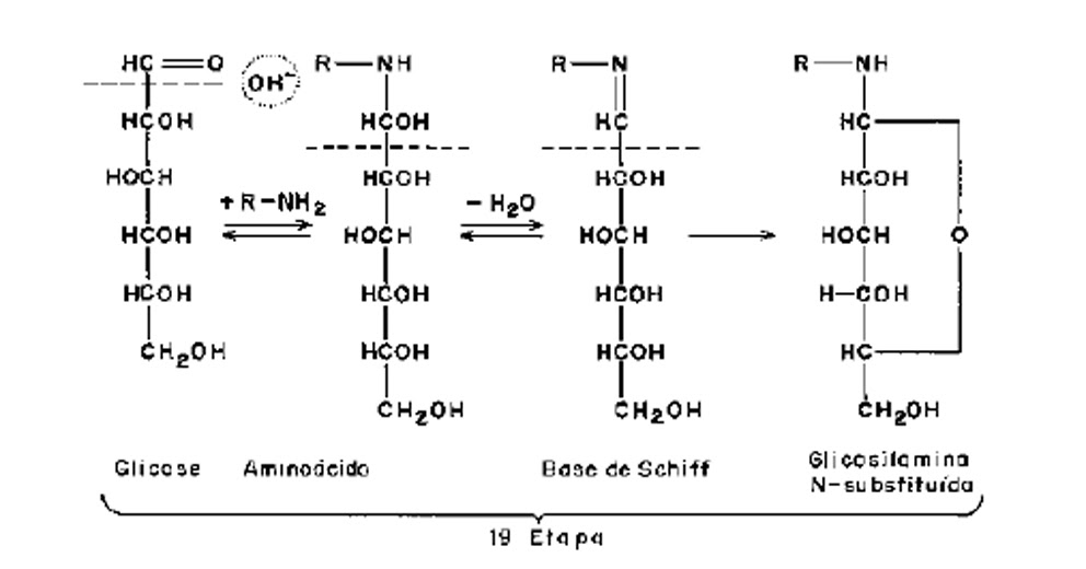 Alimentação e Saúde. Formação de Produtos de Glicação Avançada PGA ou AGEs 3 Reação de Maillard