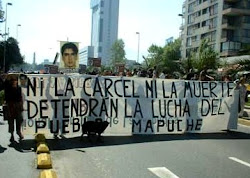 DECLARACION DE LOS DERECHOS DE LOS PUEBLOS INDIGENAS