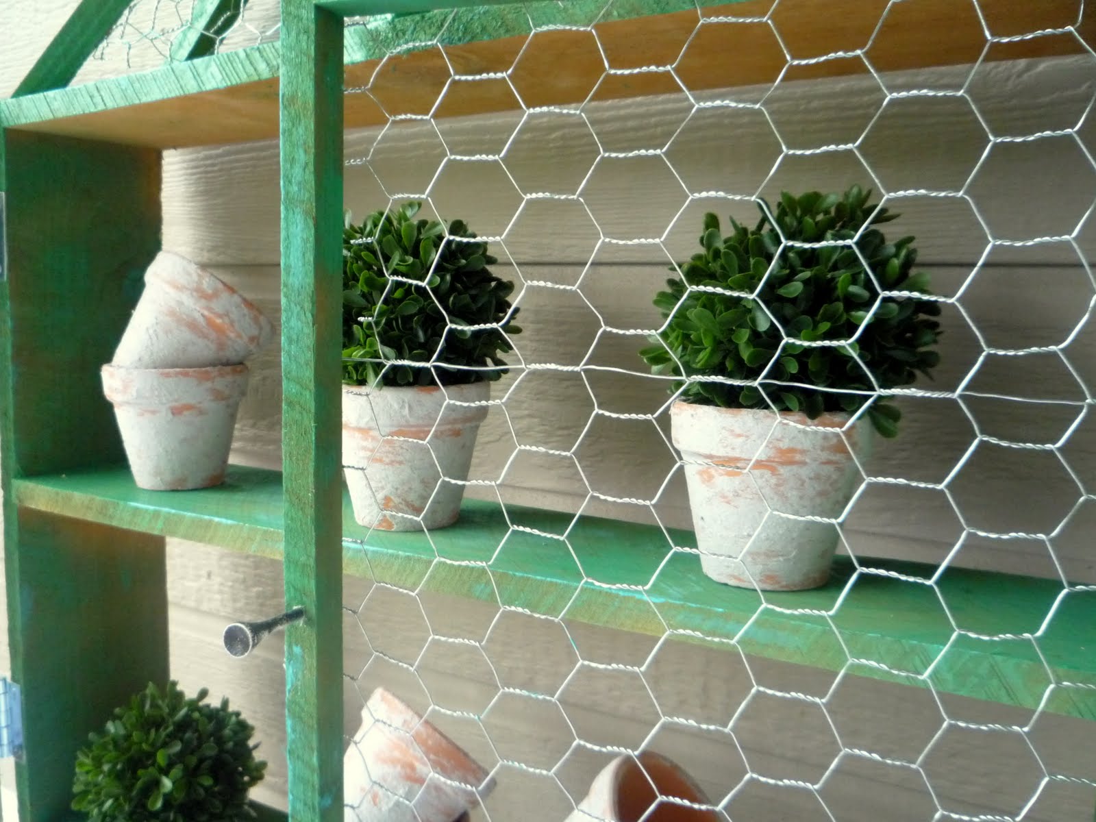 chicken wire chicken wire
