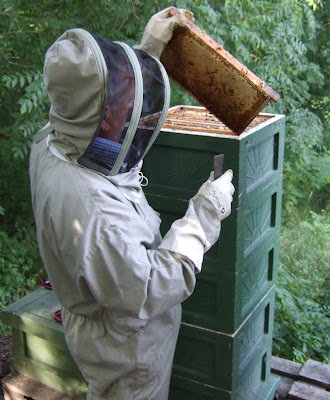 Horst lyfter en honungsram