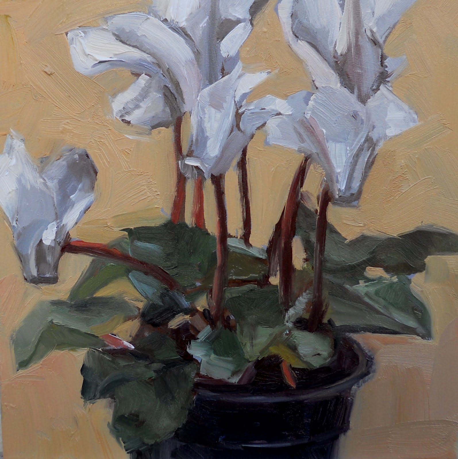 Jean Townsend's Daily Painting: January 2011