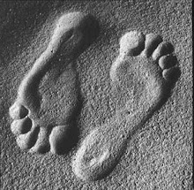 Los pies del pasajero