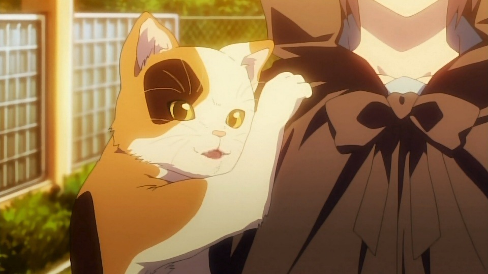 BryAnime: Anime in Focus: The Melancholy of Haruhi Suzumiya Season 2