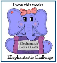 Ellephantastic Challenge