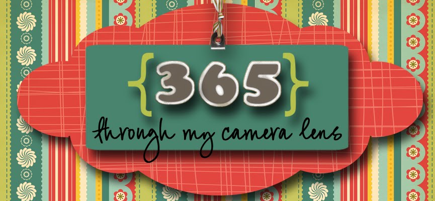 365 Through My Camera Lens