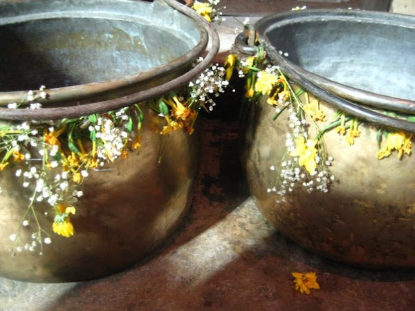 Among The Garbage And The Flowers