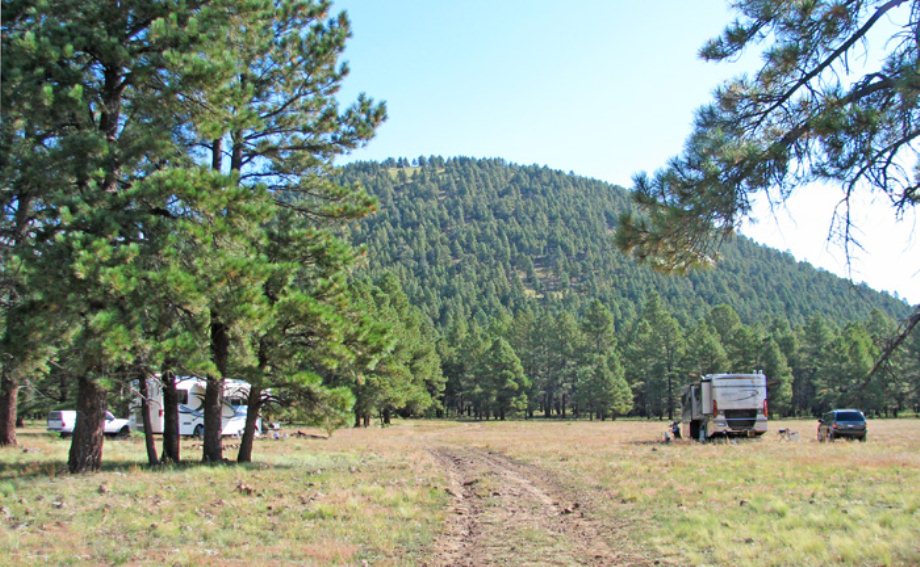 Adventures of Kitfoxgal and DesertDale Blake Ranch Rd. Site In Kingman