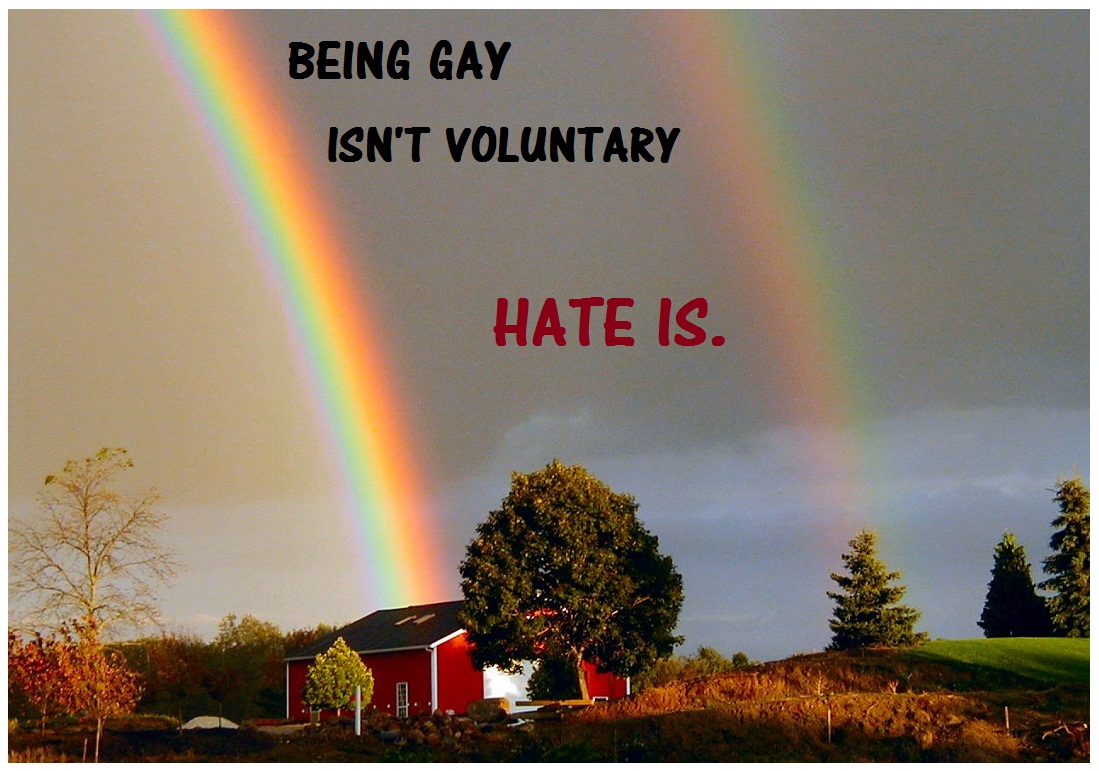 http://3.bp.blogspot.com/_N5nzekgo10s/TU1e2qr-KCI/AAAAAAAAJ3s/-eLxTFF-xkE/s1600/rainbow+BEING+GAY+isn%2527t+voluntary.jpg