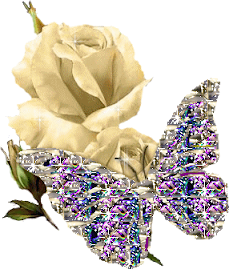 Rosa con farfalla