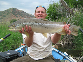 trout weber biologists webber aquatics dwr biologist electrofishing
