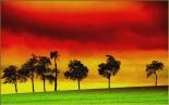 Reggae 1