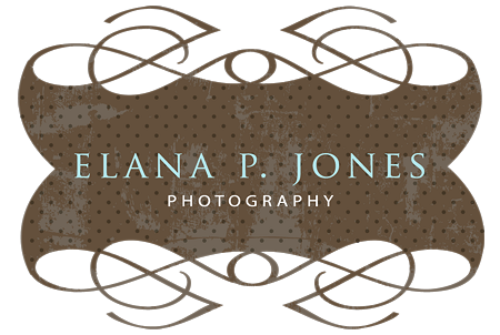 Elana P. Jones Photography- the blog