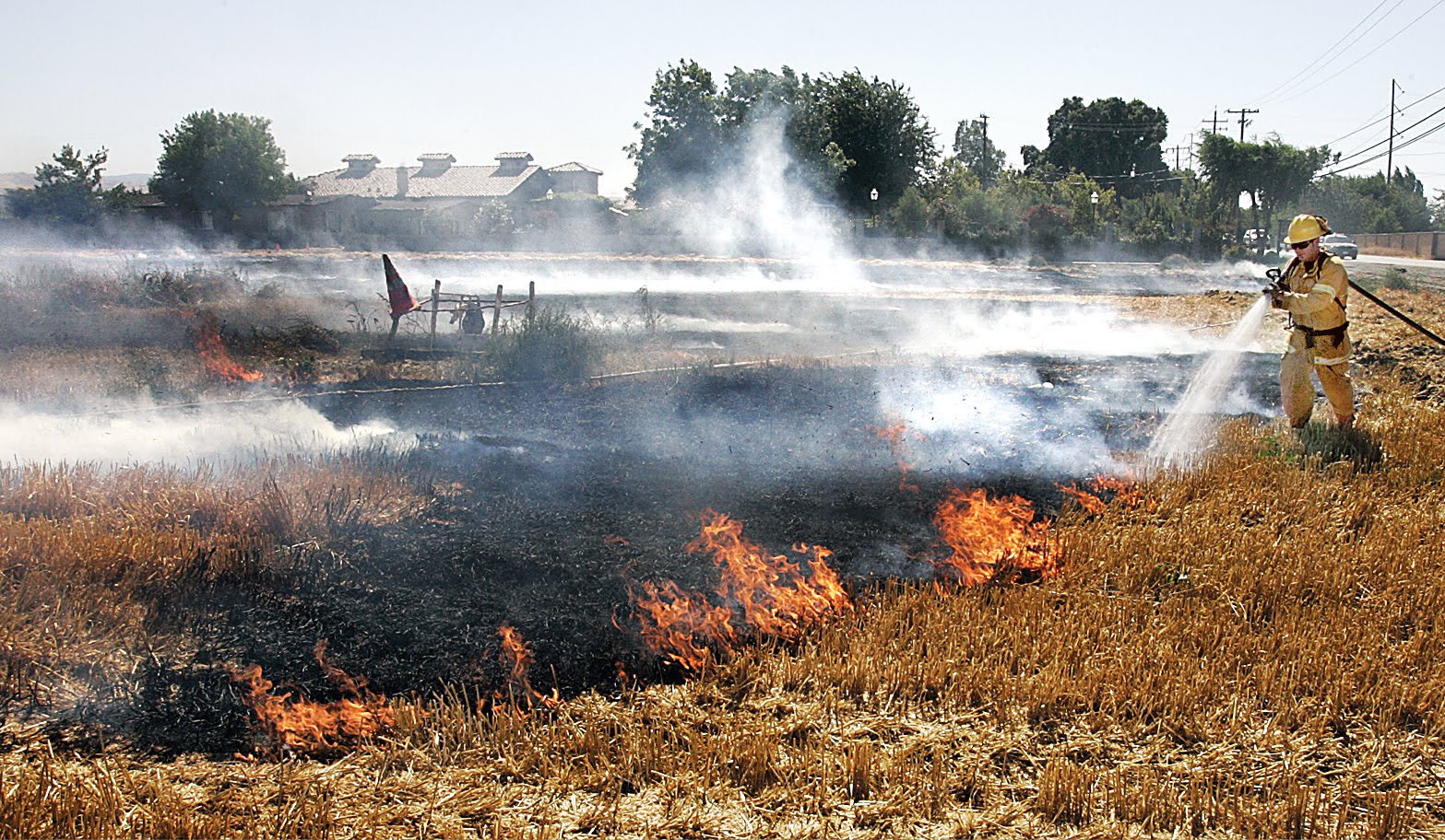 Snapshots Spot news Monday