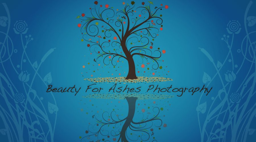 Beauty For Ashes Photography