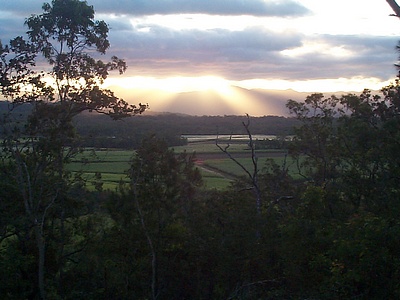 [sunrise_over_rainforest_and_cane_fields.jpg]