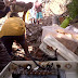 Moradores de Niterói reviram escombros atrás de vizinhos desaparecidos