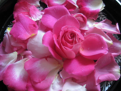 Fahriye's Kitchen: ROSE JAM ( GUL RECELI )