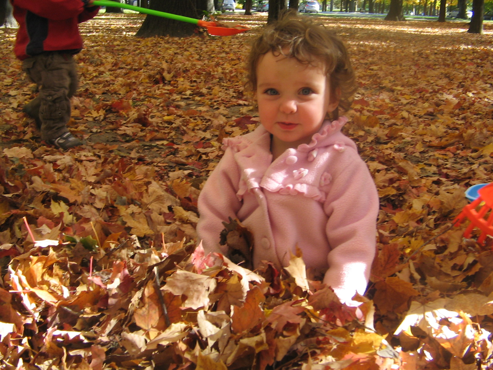 High Park Home Daycare Simple Outdoor Fall Activities For 2 year olds high-park-home-daycare-simple-outdoor-fall-activities-for-2-year-olds