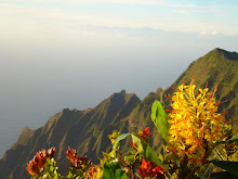 Above Na Pali Coast