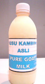 SUSU KAMBING ASLI