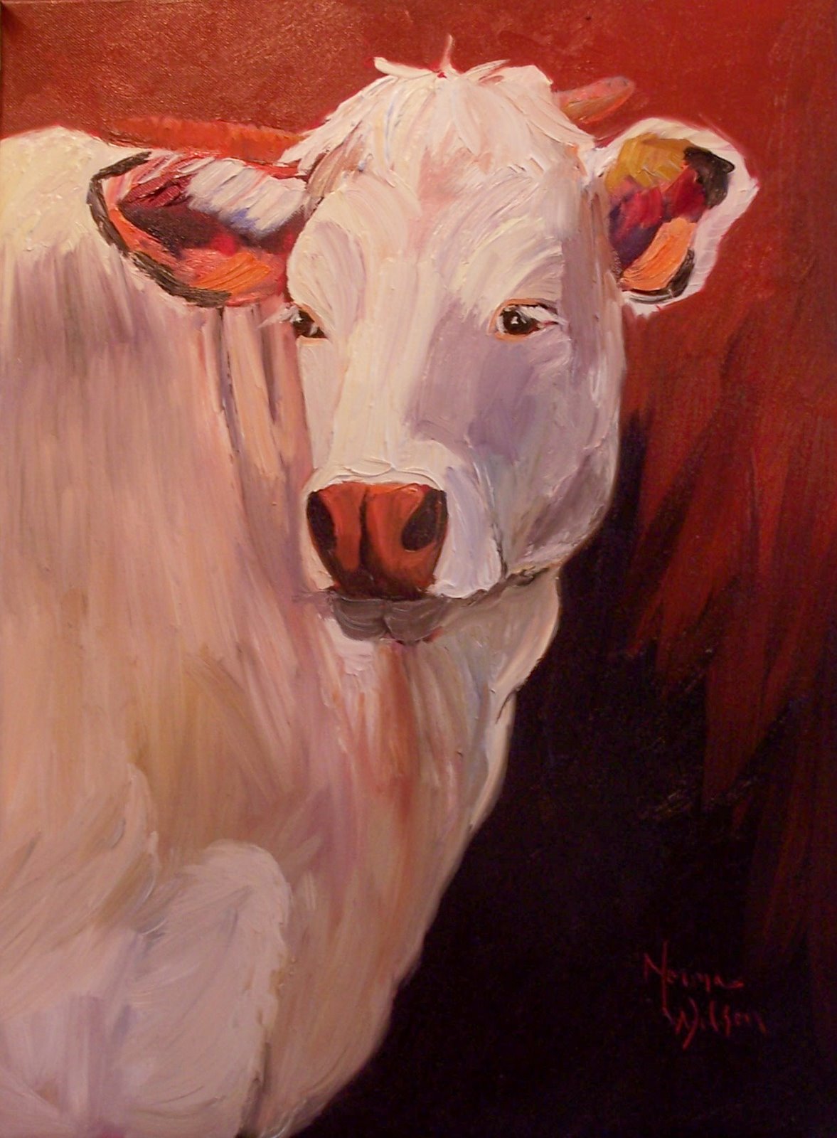 [White+Horned+Beauty.jpg]