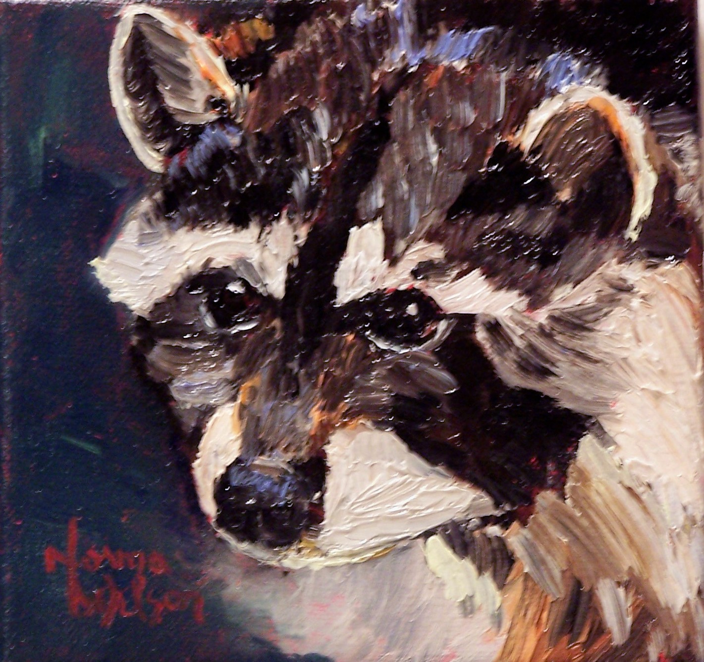 [Racoon+Portrait.jpg]