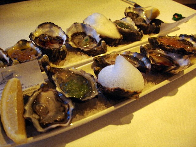 [DSC01247.JPG]