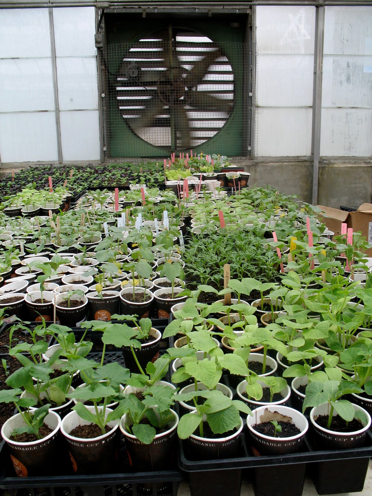 accordion file grow memphis