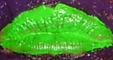 [labios+verdes.jpg]