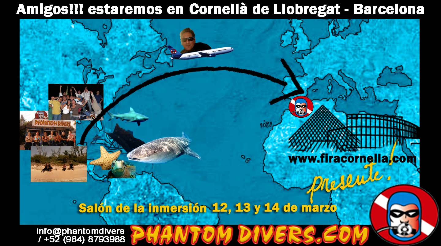 [fira+cornella+vieux.jpg]