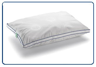 CleanRest Pillows