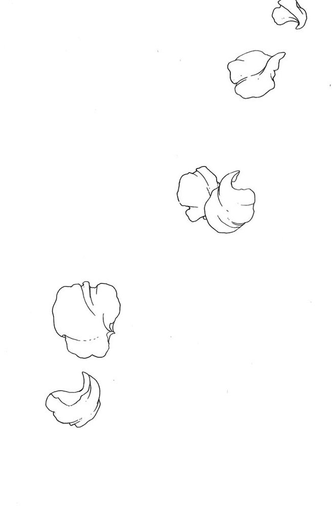 Card Captor Sakura chap 6