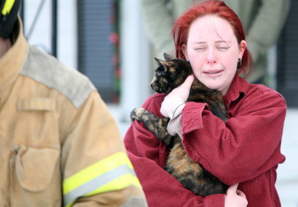 Кот торнадо. Из жизни кошек. Девушка спасает животных. Кошка белобрысая обычная. Котенок на шоссе.