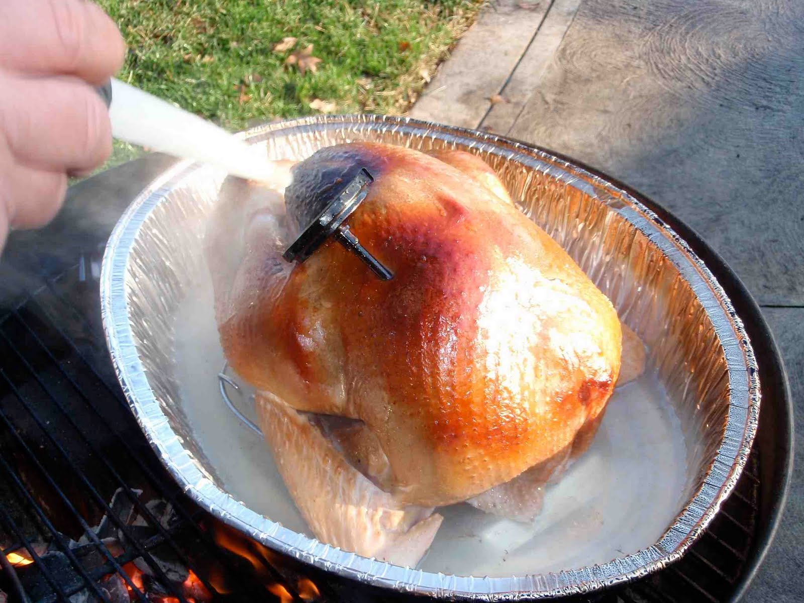 Erin O'Brien Smoking Goat