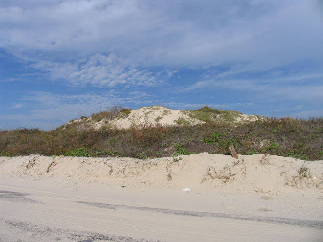 Texas Sand dune